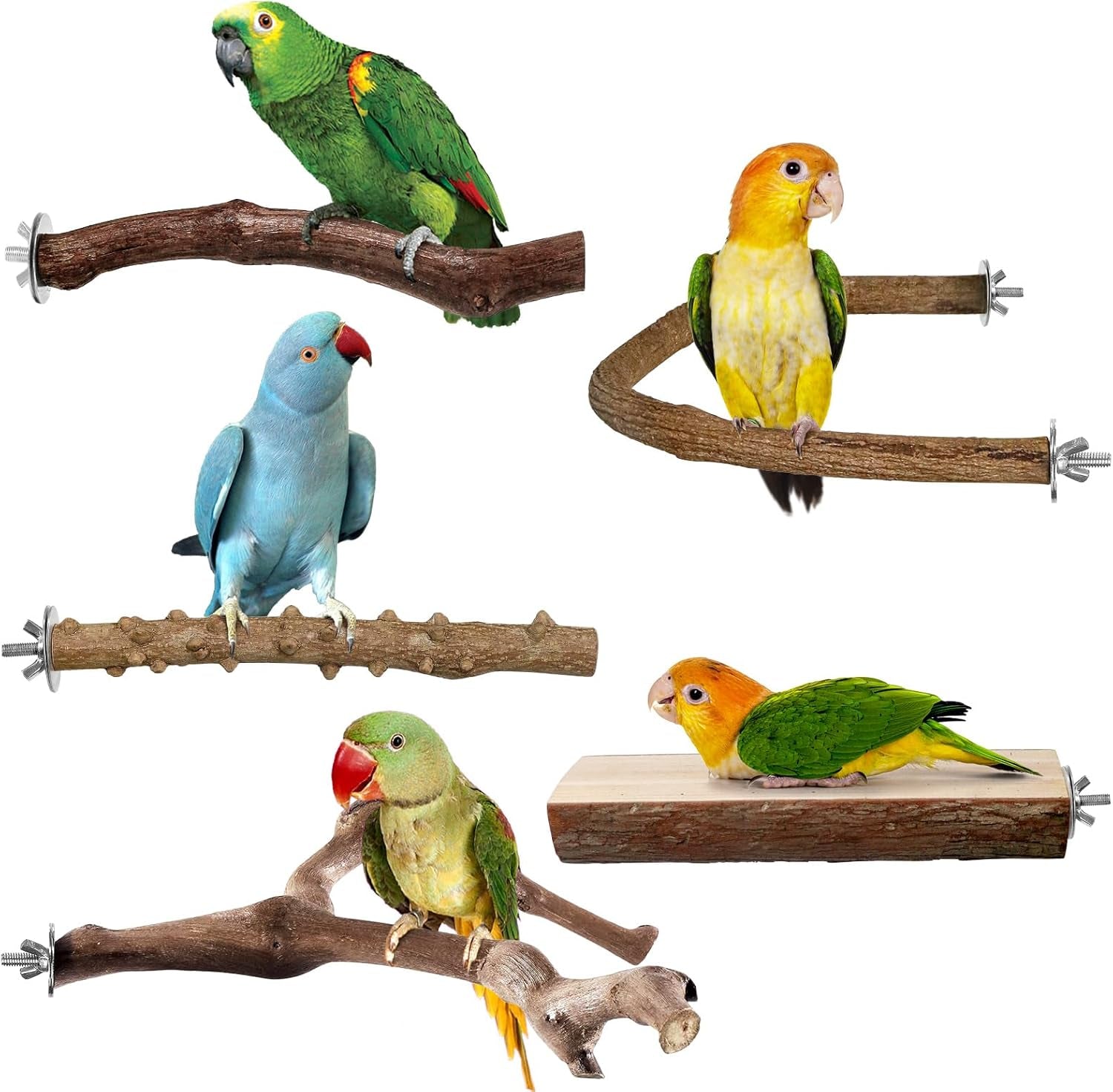 6er-Set Vogelstangen aus Naturholz für Papageienkäfige, Plattform für kleine Vögel