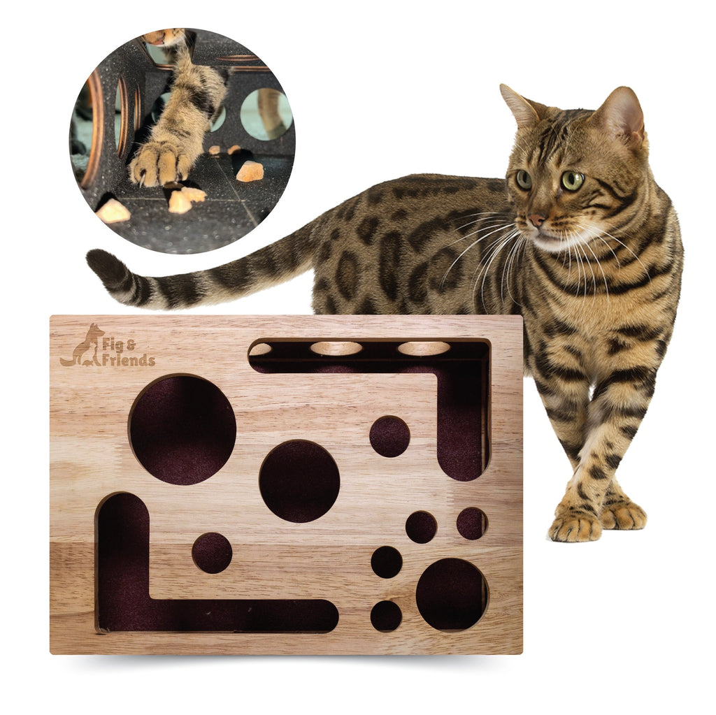 *Die Original* Katzen-Nagelfeilen-Enrichment-Box