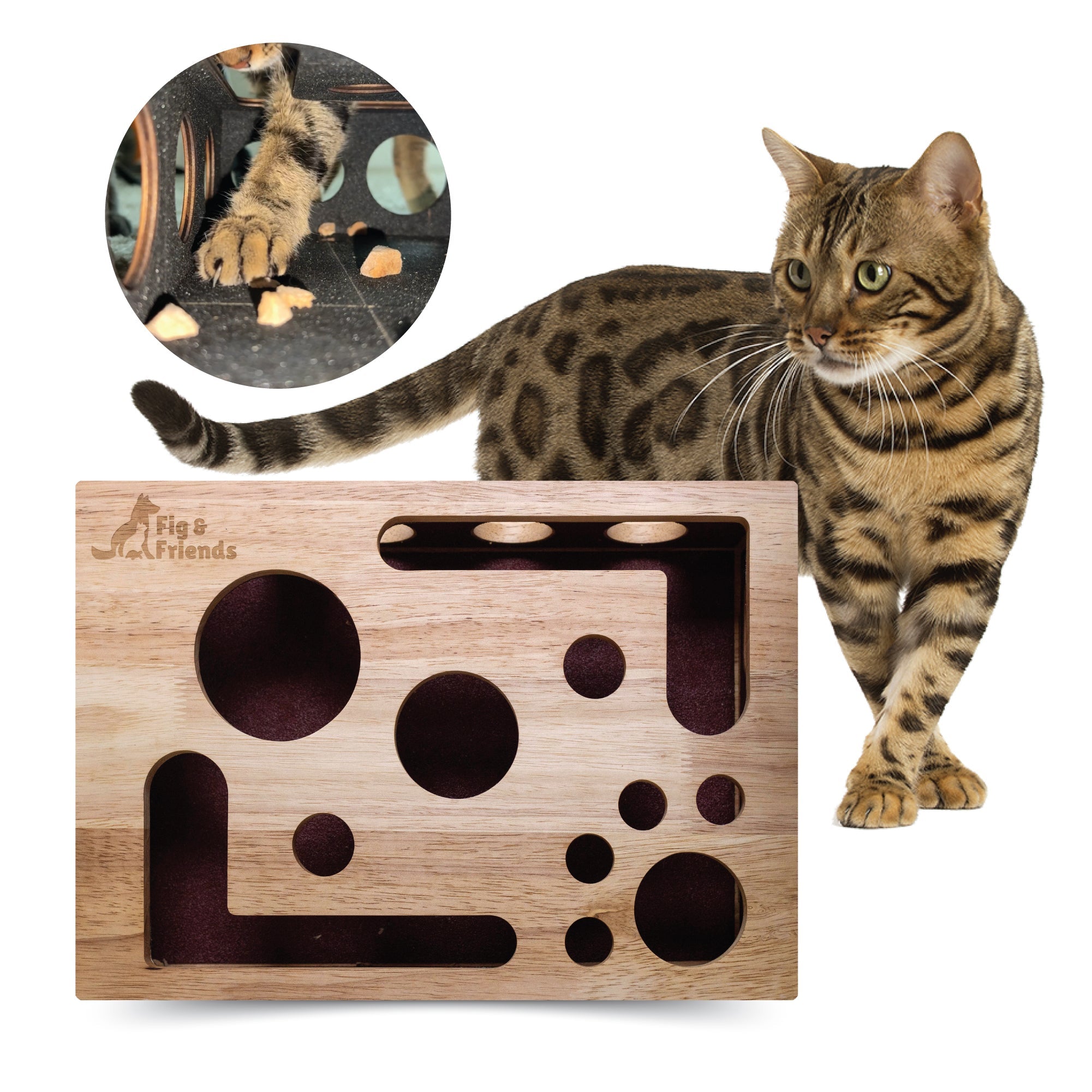 *Die Original* Katzen-Nagelfeilen-Enrichment-Box