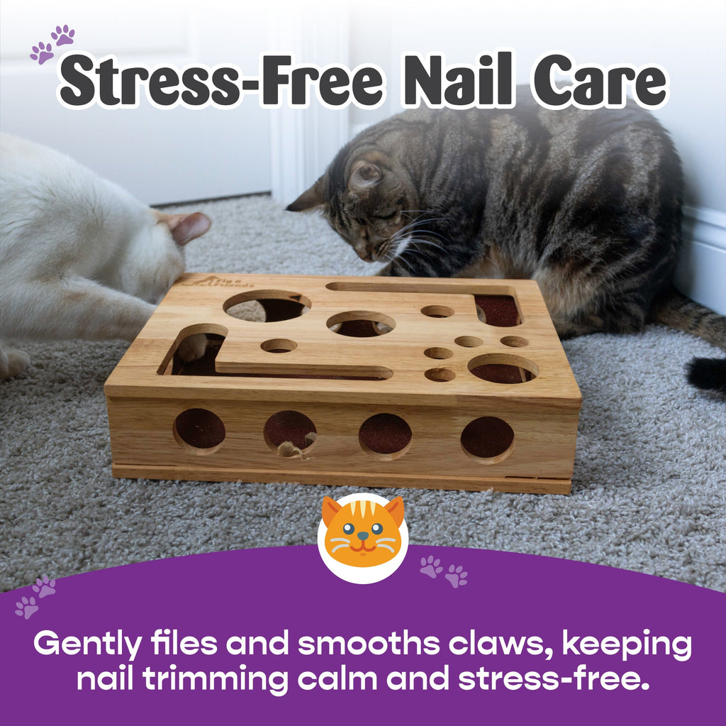 *Die Original* Katzen-Nagelfeilen-Enrichment-Box