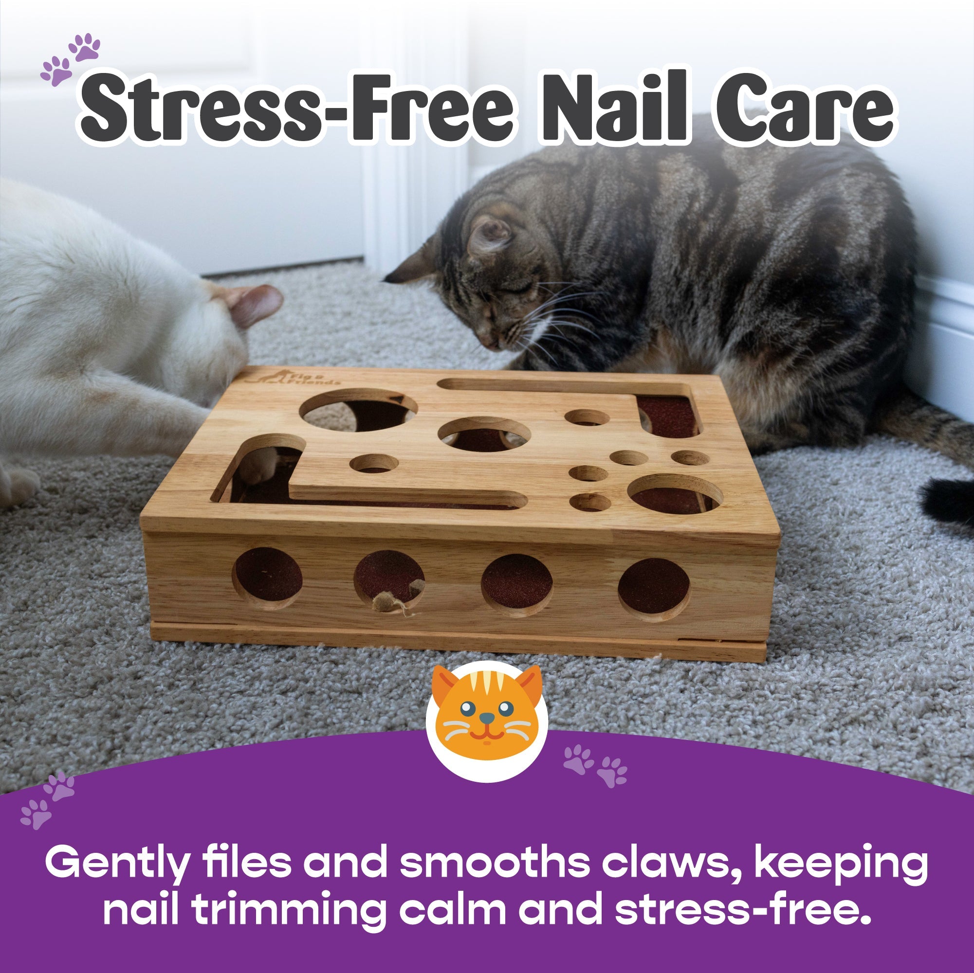 *Die Original* Katzen-Nagelfeilen-Enrichment-Box