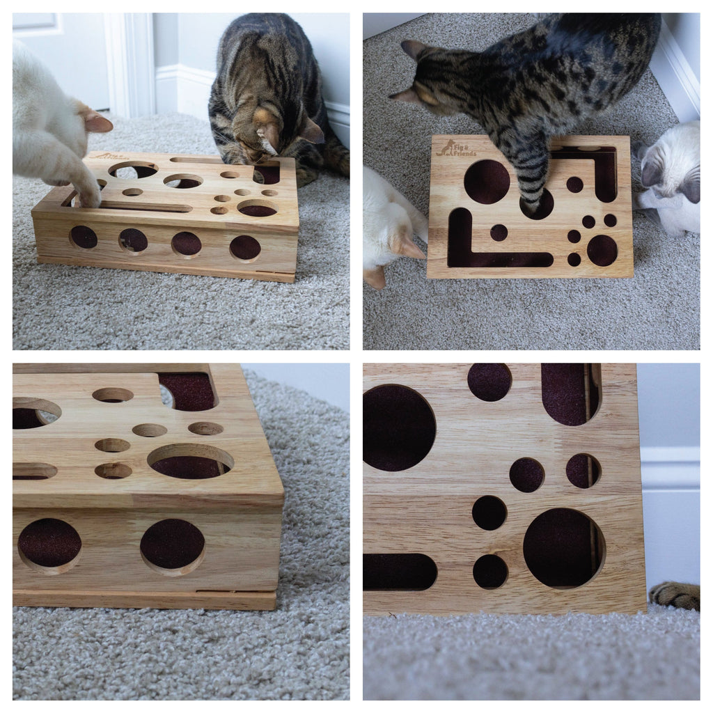 *Die Original* Katzen-Nagelfeilen-Enrichment-Box