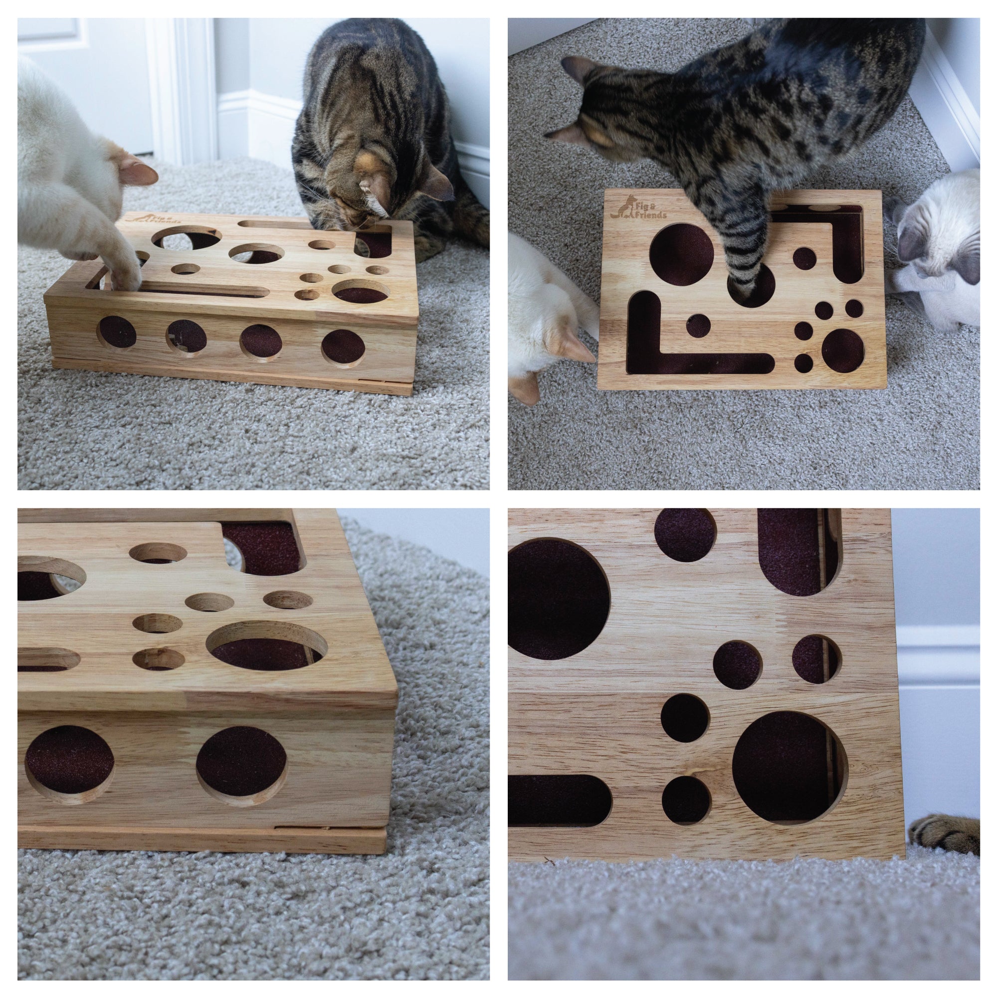 *Die Original* Katzen-Nagelfeilen-Enrichment-Box